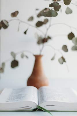 Therapy Somatic therapy grand rapids mi uses mind body connection represented by plant